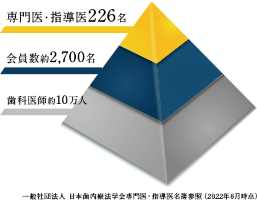 日本歯内療法学会認定の歯内療法専門医が治療を担当します